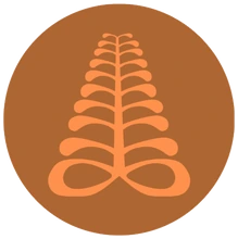 Aya symbol